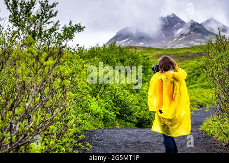 Skaftafell, Island Grün Sommer üppige Landschaft Blick auf Frau Tourist in gelben Poncho Wandern Wandern auf nassen Pfad Wanderweg Wanderweg Straße regnerischen Tag in Mount Stockfoto