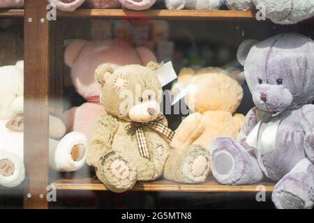 Verkauf von Softbären. Weiches Spielzeug auf der Theke. Ein Plüschtier mit weichen Pfoten. Stockfoto