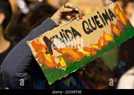 Rio de Janeiro, Brasilien - 23. August 2019: Eine Frau hält ein Plakat mit der Aufsage „das Leben brennt“ während eines Protestes gegen die Waldbrände im Amazonas. Stockfoto