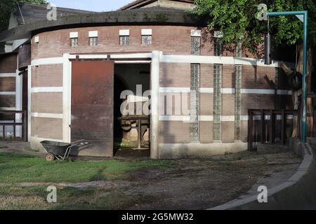 Belgrad, Serbien - 25. Juni 2021 ein Elefant in einem großen Käfig, der an einem Sommertag durch das Schutzglas im Belgrader Zoo blickt Stockfoto