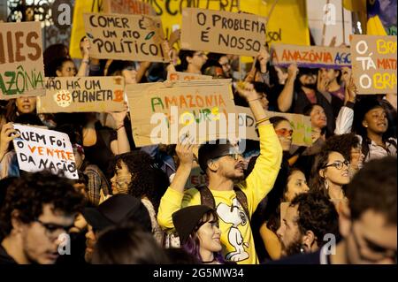 Brasilien – 23. August 2019: In Rio de Janeiro versammelten sich Menschen, um gegen die Rekordzahl von Bränden zu protestieren, die den Amazonas in den letzten Wochen heimgesucht haben Stockfoto