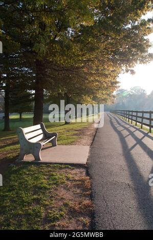 Frühmorgendliches Licht mit Schatten in einem Park mit einer verschwindenden Perspektive. Stockfoto