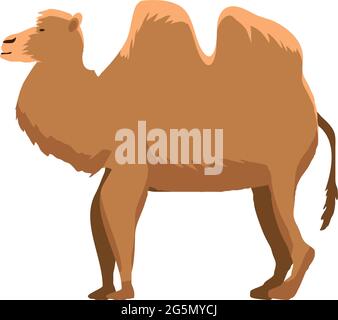 Dromedartier Cartoon Stock Vektor