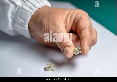 Großer Diamant in der Hand. Natürliche, raue Diamanten Stockfoto