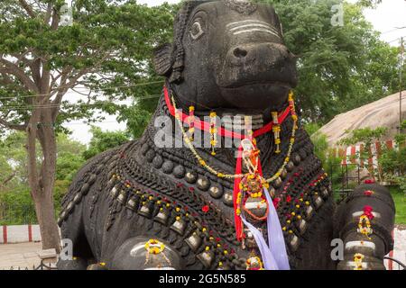 350 Jahre alte monolithische Statue von Nandi (Stier), Chamundi Hill, Mysore, Indien. Südindischer Tempel, hinduistischer religiöser Ort. Stockfoto