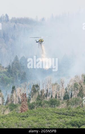 Ein Bell 205-A1 Feuerwehrhubschrauber wirft bei einem Waldbrand in den La Sal Mountains in Utah Wasser ab. Stockfoto