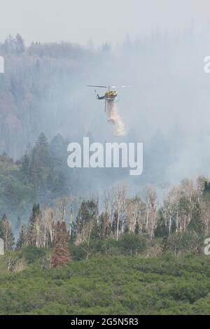 Ein Bell 205-A1 Feuerwehrhubschrauber wirft bei einem Waldbrand in den La Sal Mountains in Utah Wasser ab. Stockfoto