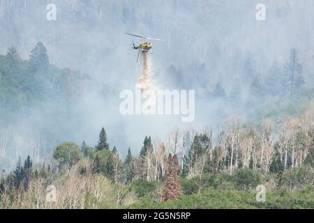 Ein Bell 205-A1 Feuerwehrhubschrauber wirft bei einem Waldbrand in den La Sal Mountains in Utah Wasser ab. Stockfoto