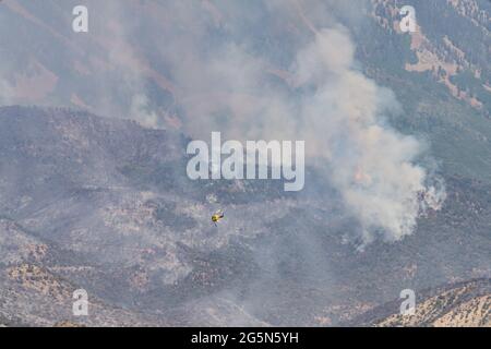 Ein Bell 205-A1 Feuerwehrhubschrauber kehrt nach einem Waldbrand in den La Sal Mountains in Utah zurück. Stockfoto