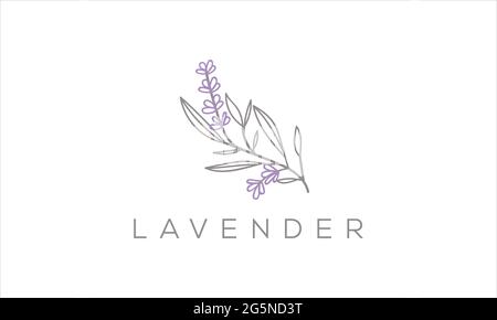 Lavendel Blume flache Linie Symbol Medizinische Pflanze Vektor Illustration Design Symbol Stock Vektor