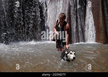 Portland, USA. Juni 2021. Eine Frau kühlt sich mit ihrem Hund am 28. Juni 2021 im Keller Fountain Park in Portland, Oregon, ab, wo die Temperaturen ein Allzeithoch von 116 Grad Fahrenheit erreichten. (Foto von Alex Milan Tracy/Sipa USA) Quelle: SIPA USA/Alamy Live News Stockfoto