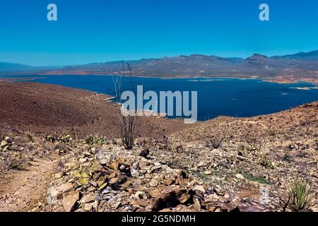 Blick auf den Roosevelt Lake vom Arizona Trail, Roosevelt, Arizona, USA Stockfoto