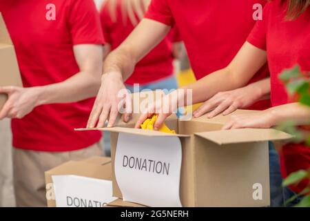 Freiwillige Hände sorgfältig wickeln Spenden-Boxen Stockfoto