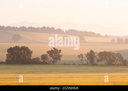 Sommer ländliche Landschaft der Region Turiec, Slowakei. Stockfoto