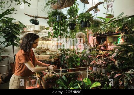 Menschen, die sich um grüne Pflanzen und Blumen kümmern, während sie im botanischen Garten spazieren Stockfoto