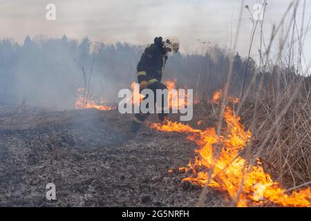 Ein Feuerwehrmann löscht trockenes Gras. Ein Feuerwehrmann bekämpft ein Feuer in einem offenen Bereich. Rettungsaktionen gegen Flammen. Ein ökologischer Katastrophenbrand Stockfoto