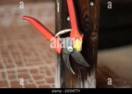 Gartenwerkzeug zum Beschneiden von Sträuchern. Werkzeug mit roten Griffen. Clippers mit Stahlklingen. Das Werkzeug befindet sich in der Garage. Stockfoto