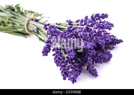 Lavendel Blumen Bündel gebunden isolierten auf weißen Hintergrund Stockfoto