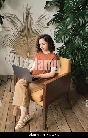 Junge Geschäftsfrau mit Laptop auf den Knien sitzt auf einem Sessel und arbeitet online im Zimmer mit grünen Pflanzen Stockfoto