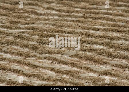 Sandstruktur. Nahaufnahme der sich wiederholenden Wellenstruktur am schwarzen Sandstrand im Mangrovenwald während der Ebbe, Endau, Malaysia Stockfoto