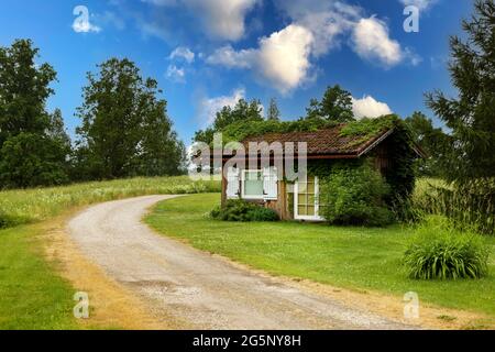 Kleine Holzhütte und Landstraße im Grünen. Idyllische Landschaft Stockfoto