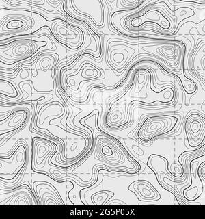 Topografische Karte auf weißem Hintergrund. Vektorraster-Karte. Stock Vektor