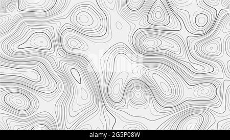 Topografische Karte auf weißem Hintergrund. Vektorraster-Karte. Stock Vektor