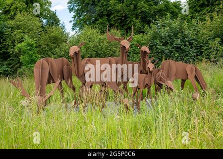 Kunst am Straßenrand, die Aufmerksamkeit auf Bedale, North Yorkshire, Großbritannien, lenkt Stockfoto