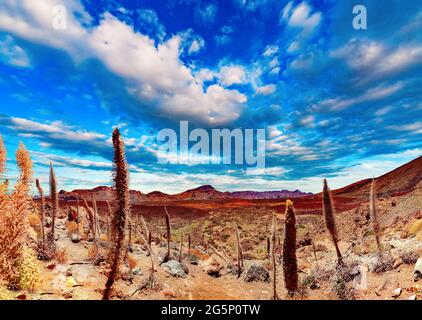 Natur vulkanische Landschaft.Wahrzeichen in Spanien. Vulkan Teide mit Llano de Ucanca.Wüstenpanorama Stockfoto