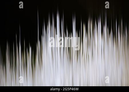 Die Höhlen von Choranche (Vercors) enthalten eine außergewöhnlich lange Fistel von 3.20 m. Stockfoto