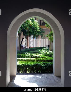 Alhambra Granada Spanien.Garten des Hofes des Lindaraja, Patio de Lindaraja.Daraxas Garten (Jardines de Daraxa) auch Garten der Orangenbäume (Jardín de los Naranjos) und Garten der Murmeln (Jardín de los Mármoles) genannt Stockfoto