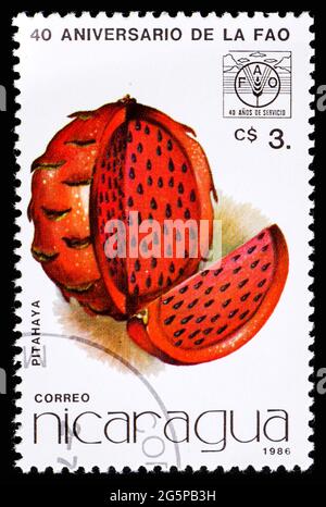 NICARAGUA - UM 1986: Eine Briefmarke aus Nicaragua mit Fruchtpitahaya Stockfoto