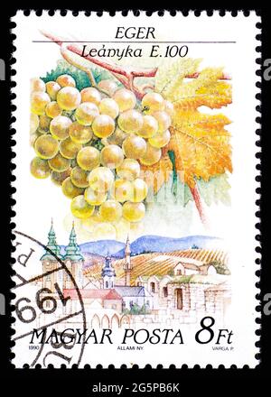 UNGARN - UM 1990: Eine Briefmarke aus Ungarn, die die Traubensorte Leanyka in der Region Eger zeigt Stockfoto