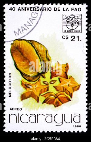 NICARAGUA - UM 1986: Eine Briefmarke aus Nicaragua mit Fruchtmelokoton Stockfoto