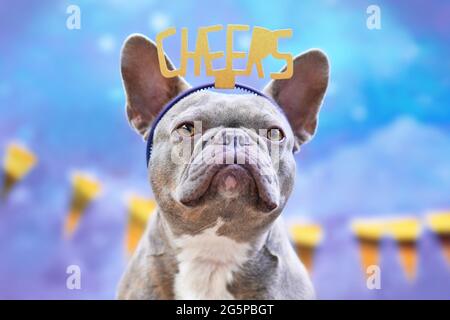 Party Französischer Bulldog Hund mit Stirnband mit der Aufschrift "Cheers" vor goldener Girlande auf blauem Hintergrund Stockfoto