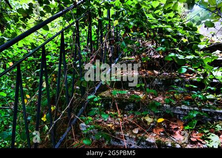 Treppen von üppiger Vegetation überfallen, Konzeptfotografie, Frankreich Stockfoto