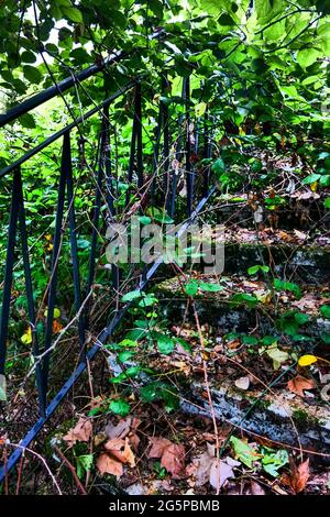 Treppen von üppiger Vegetation überfallen, Konzeptfotografie, Frankreich Stockfoto