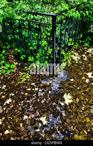 Terrasse von üppiger Vegetation in einem verlassenen Haus überfallen, Konzeptfotografie, Frankreich Stockfoto