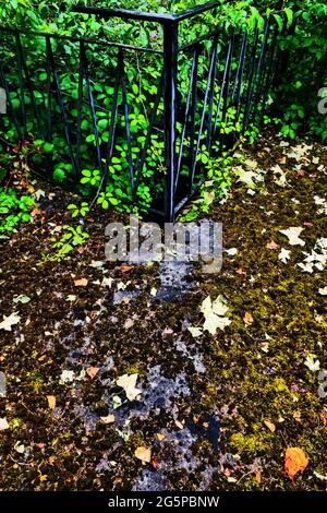 Terrasse von üppiger Vegetation in einem verlassenen Haus überfallen, Konzeptfotografie, Frankreich Stockfoto