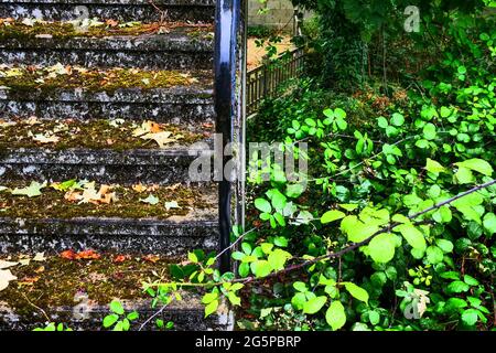 Treppen von üppiger Vegetation überfallen, Konzeptfotografie, Frankreich Stockfoto