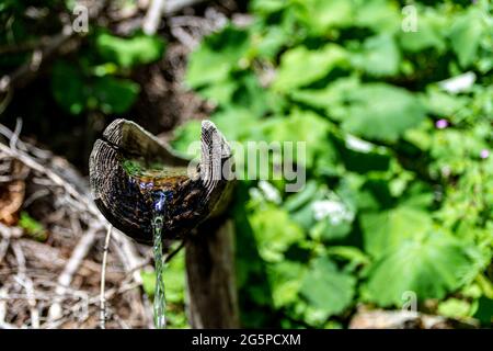 Nahaufnahme einer Frischwasserquelle. Bergwasserquelle aus einem hölzernen Kanal aus einem Berg. Stockfoto