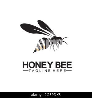 Bienenhonig Logo Vektor Symbol Symbol Illustration Design Vorlage Stock Vektor