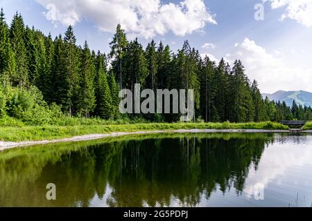 Kleiner alpiner See, der die umliegenden Bäume und das grüne Gras in einer Berglandschaft widerspiegelt Stockfoto