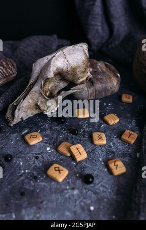 Alter Hundeschädel, Holzrunen und Steine auf dem Hexentisch. Stockfoto