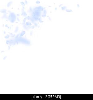 Hellblaue Blütenblätter fallen herunter. Seltenes Romant Stock Vektor