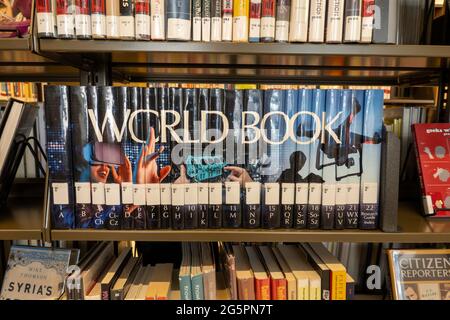 Die Stavros Niarchos Foundation Library (SNFL) befindet sich an der 455 Fifth Avenue, NYC, USA Stockfoto