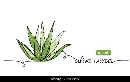 Aloe Vera Pflanzenskizze, einfache Vektorgrafik, Hintergrund, Etikettendesign. Eine fortlaufende Linienzeichnung Kunstillustration mit Schriftzügen organischer Aloe Stock Vektor