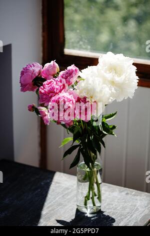 Blumenstrauß aus rosa und weißen frischen Pfingstrosen-Blumen in einer Vase bei Sonnenschein unter dem Fenster Stockfoto