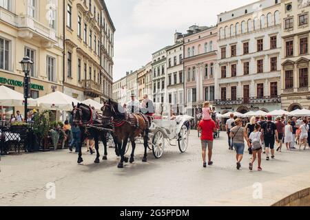 KRAKAU, POLEN - 21. Juli 2019: Geschmückte Pferde mit Kutschen in der Altstadt von Krakau, Polen im Sommer, Touristenattraktion und Reiseziel in Europa Stockfoto