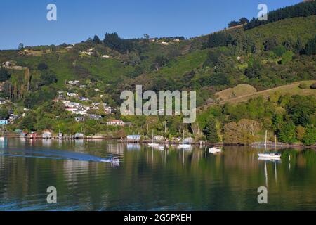 Hübsche Küste mit baumbestandenen Hügeln mit Häusern und Booten direkt vor der Küste, die sich im Meer in der Nähe von Otago Port, South Island, Neuseeland, widerspiegeln Stockfoto